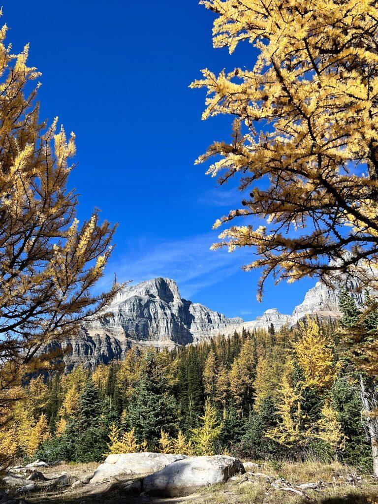 Larch Valley & Sentinel Pass Trail